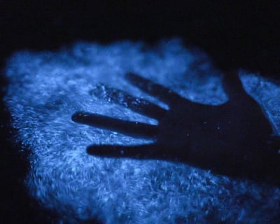 La Parguera Bioluminescent Bay Swimming Tour