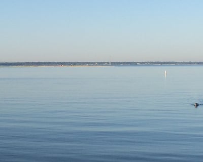 Boat Rental in Charleston for 2.5 Hours