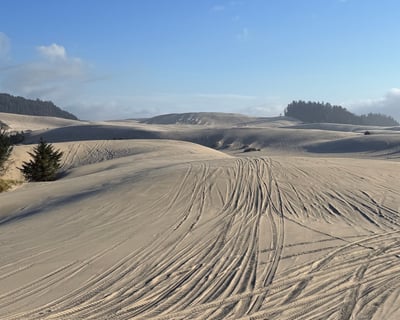 1-Hour ATV & UTV Rental in Winchester Bay