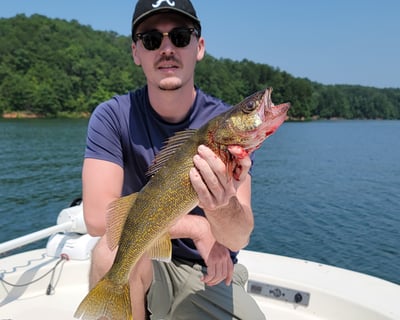 4-Hour Fishing Charter on Carters Lake