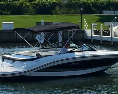 Lake Minnetonka Sea Ray Boat Rental