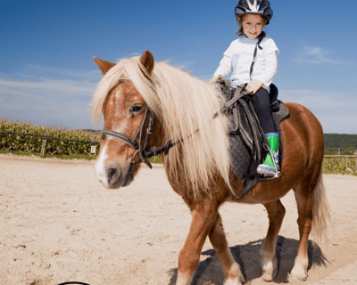 30-Minute Pony Rides in Poway