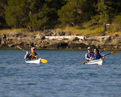 Deer Harbor 3-Hour Kayak Tour