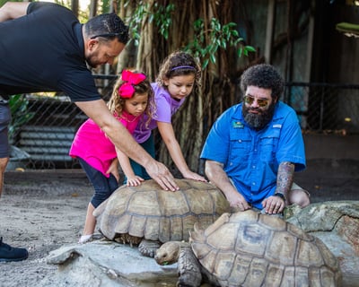 Private Tour of the Sawgrass Reptile Exhibit