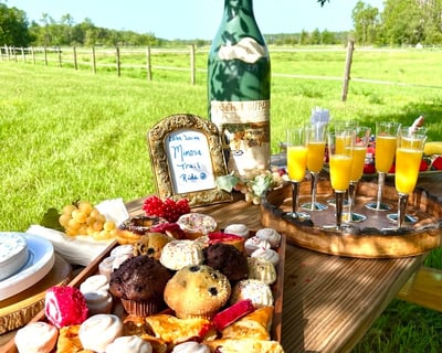 Morning Horse Trail Ride & Brunch in Clermont