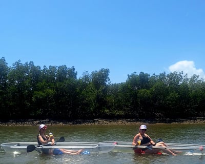 Paddleboard Or Clear Kayak Mangrove Tour In New Smyrna