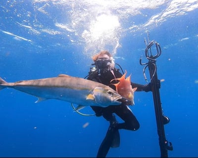 Spearfishing Charter in Key West
