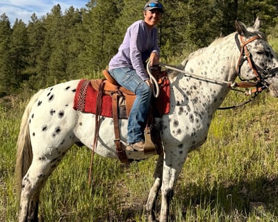 1-Hour Guided Trail Ride in Pagosa Springs