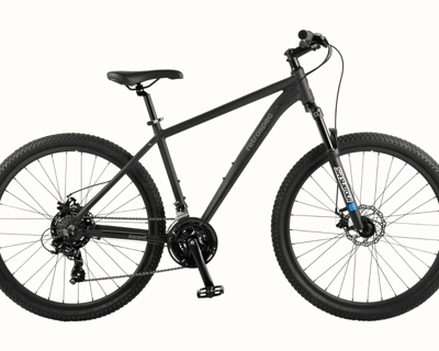 Large Mountain Bike Rental in Redondo Beach