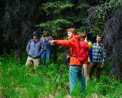3-Hour Denali Naturalist Walking Tour