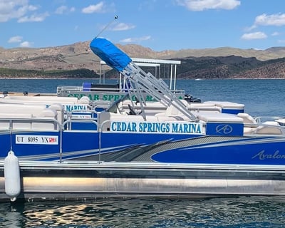 Flaming Gorge Pontoon Boat Rental