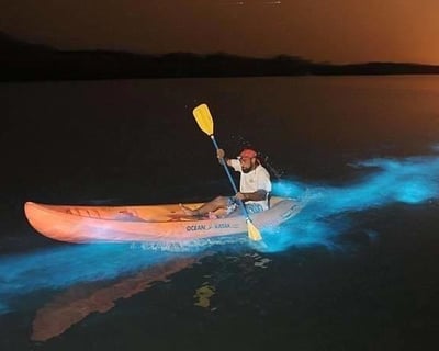 Vieques Bioluminescent Bay Kayak Tour