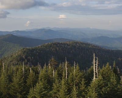 Smoky Mountains Newfound Gap Tour