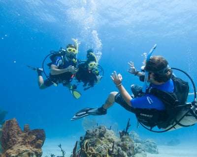 Guided 2-Tank Shallow Boat Dive In Waikiki