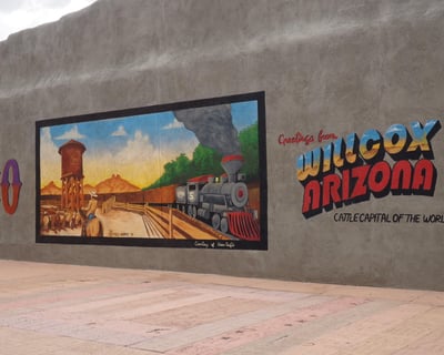 Willcox Guided Wine Tasting Tour From Tucson