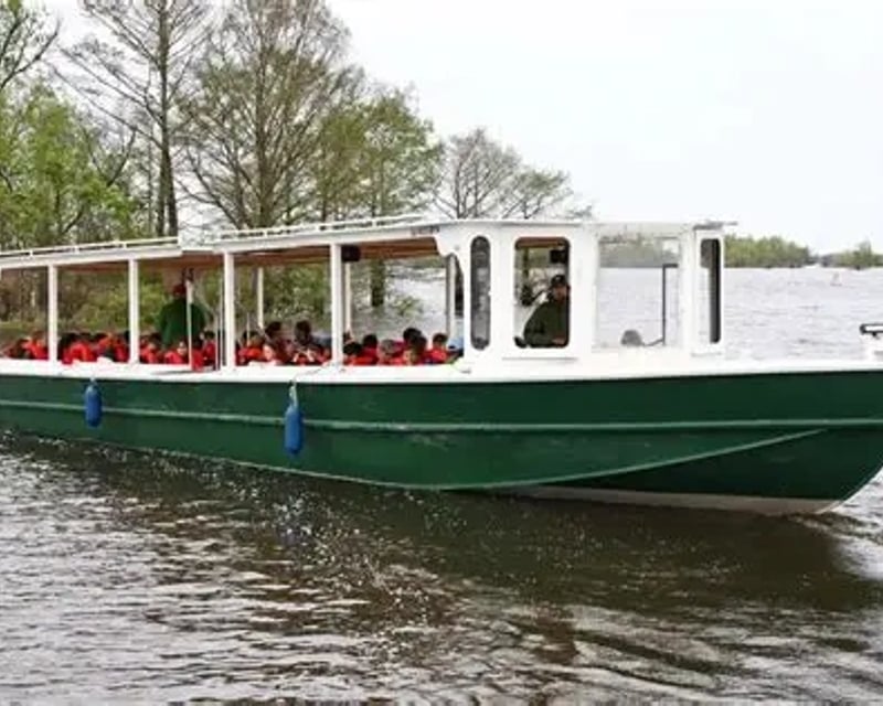 Cypress Swamp Boat Tour in Henderson, Louisiana