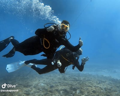 Learn Scuba Diving in Key Largo