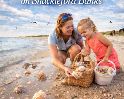 Explore Shackleford Banks on a Low-Tide Shelling Tour