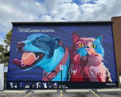 Nashville Mural Tour with Expert Guide & Luxury Van