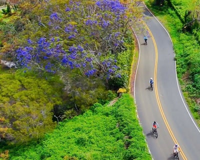 Maui 30-Mile Cycle Supreme Bike Tour with Lunch