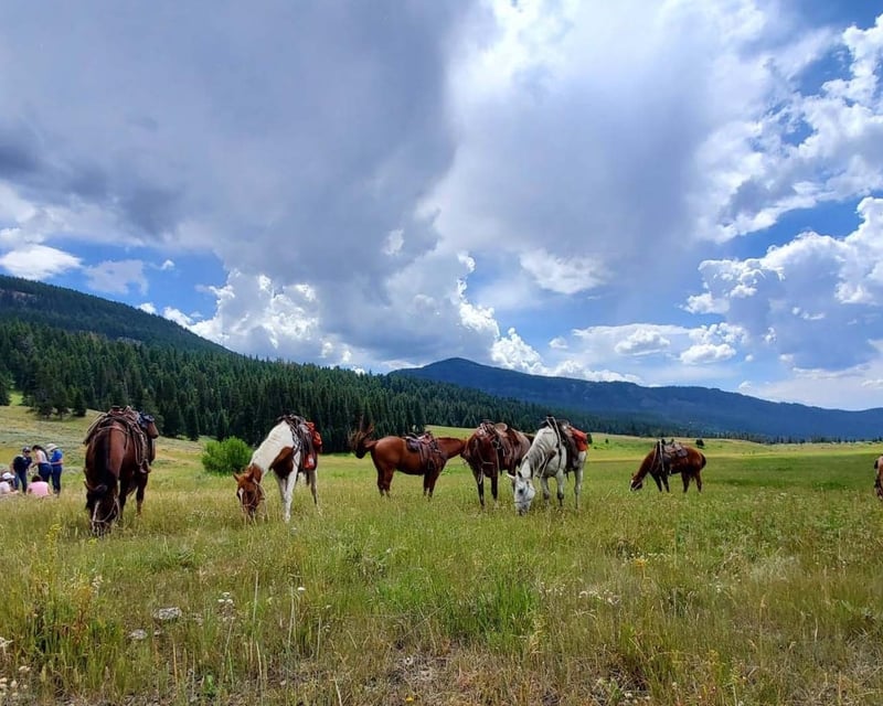 Private Half-Day Yellowstone Horseback Ride