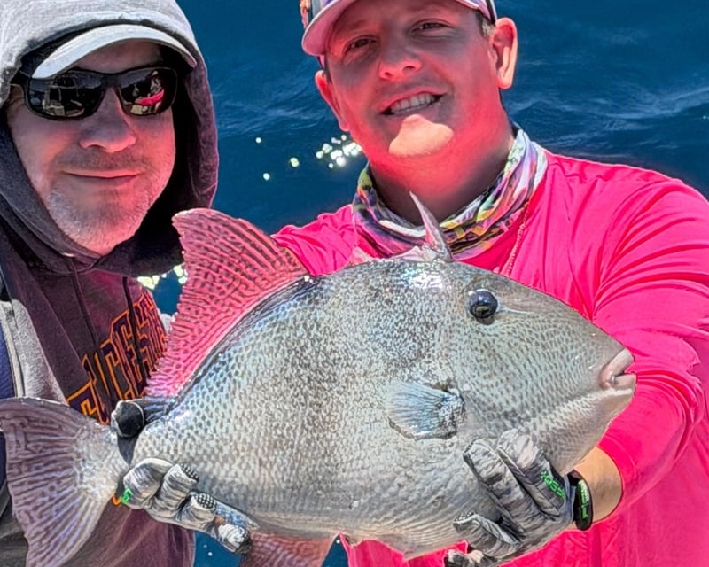 Private Offshore Trolling & Bottom Fishing in Georgetown