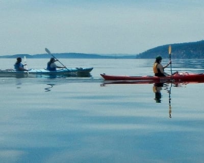 Paddle & Picnic Guided Kayak Tour On Orcas Island