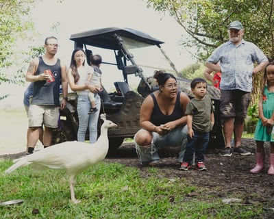 Guided Ranch Tour & Animal Encounters in Pāhoa