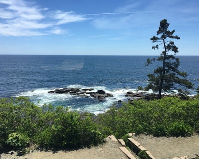 4-Hour Acadia National Park Guided Trolley Tour