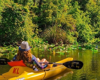5-Hour Paddling Tour of Rock Springs Run