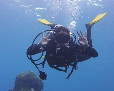 Beginner Scuba Diving Tour in Panama City Beach