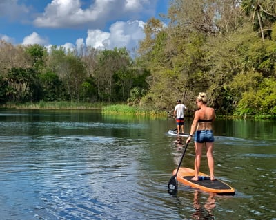 Paddle With Dolphins & Manatees in Marco Island
