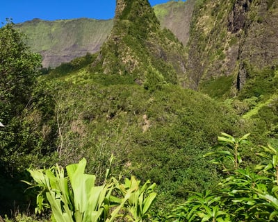 Private Haleakalā National Park & ʻĪao Valley Tour