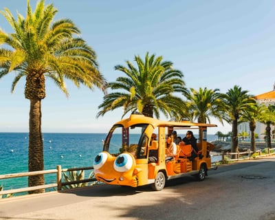 Avalon Guided Sightseeing Tour
