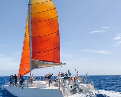 Waikiki Catamaran Snorkel with Sea Turtles