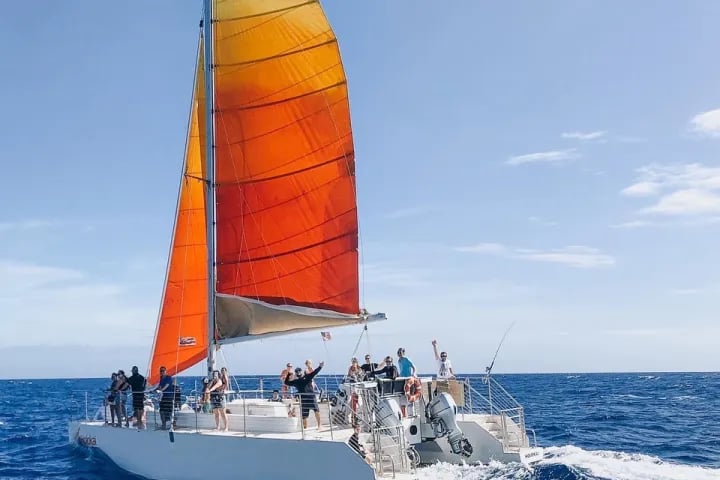 Waikiki Catamaran Snorkel with Sea Turtles