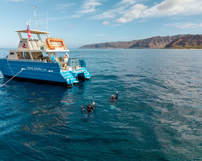Private Charter for Oahu Diving & Snorkeling