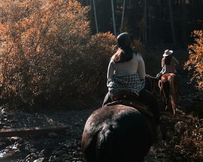 Guided Wilderness Ride in Driggs