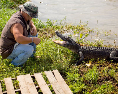 Guided Swamp Boat Cruise in Lafitte