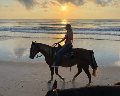 Sunset Beach Horseback Ride in Fernandina Beach