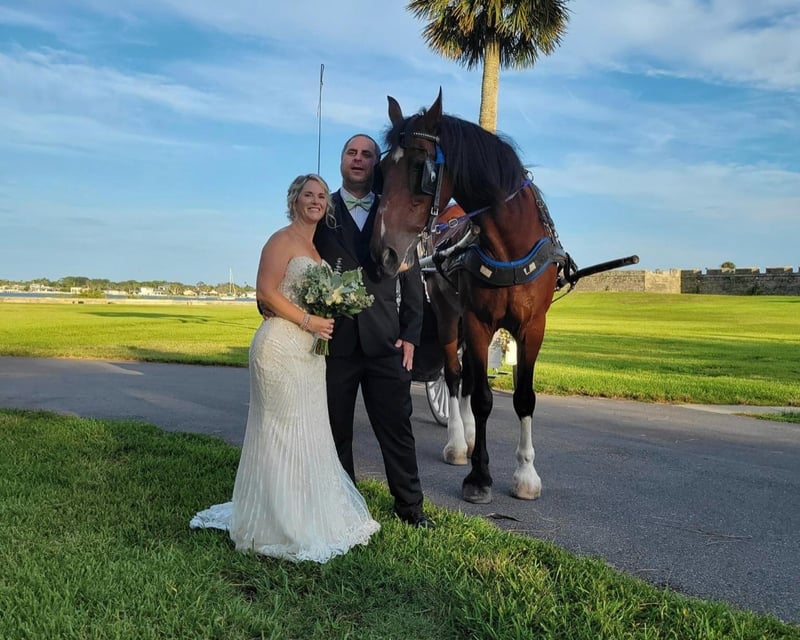 Private Horse-Drawn Carriage Wedding Ride in St. Augustine