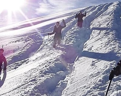 2-Hour Guided Snowshoe Tour in South Lake Tahoe