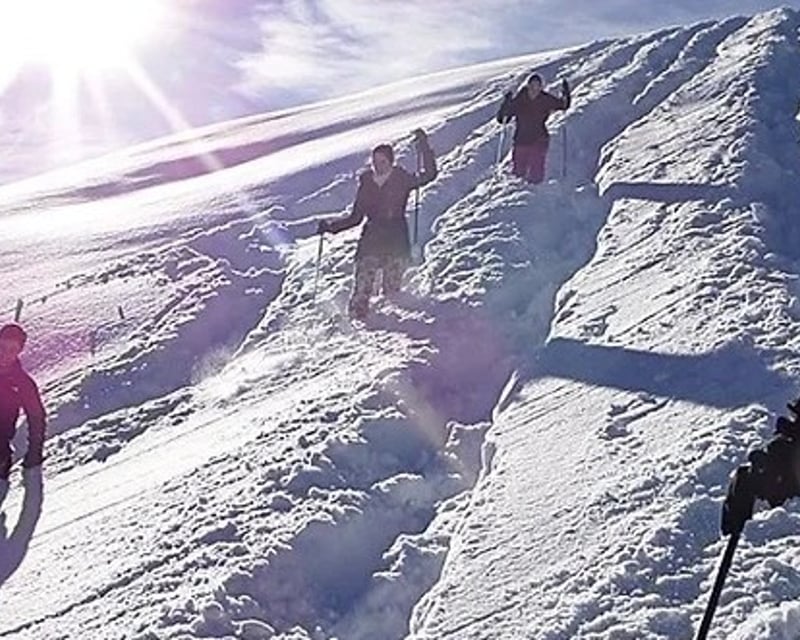 2-Hour Guided Snowshoe Tour in South Lake Tahoe