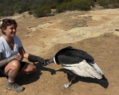 3-Hour Bird Experience in Escondido