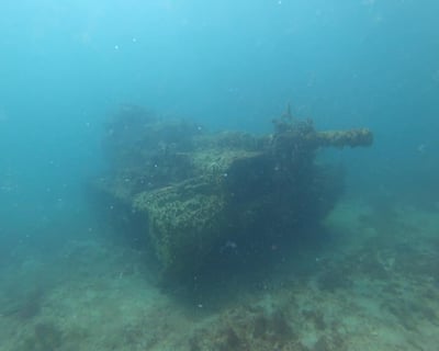 Two-Tank Scuba Diving Charter in Hernando Beach
