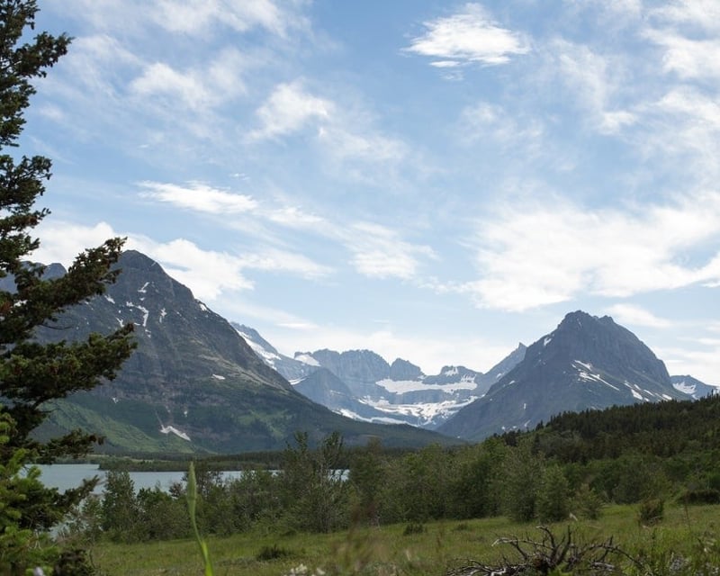 Half-Day Guided Walk & Wade Fly Fishing in Boulder