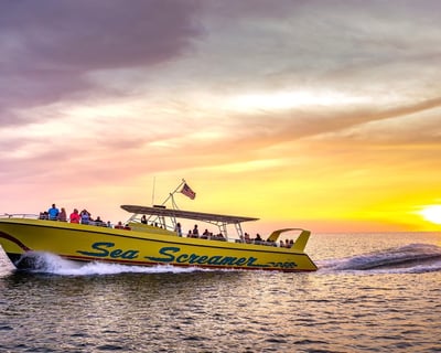 Panama City Beach Sunset Dolphin Cruise