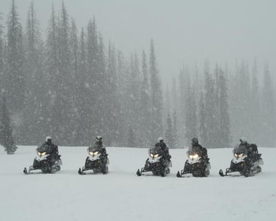 2 Hour Scenic Snowmobile Tour in the San Juan Mountains