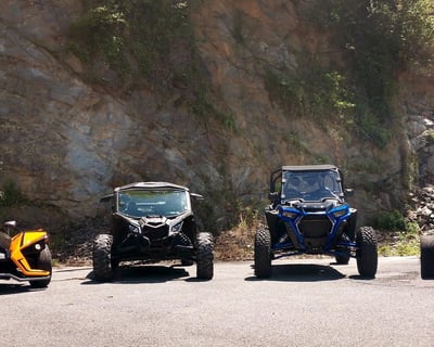 3-Hour UTV Rental in Townsend