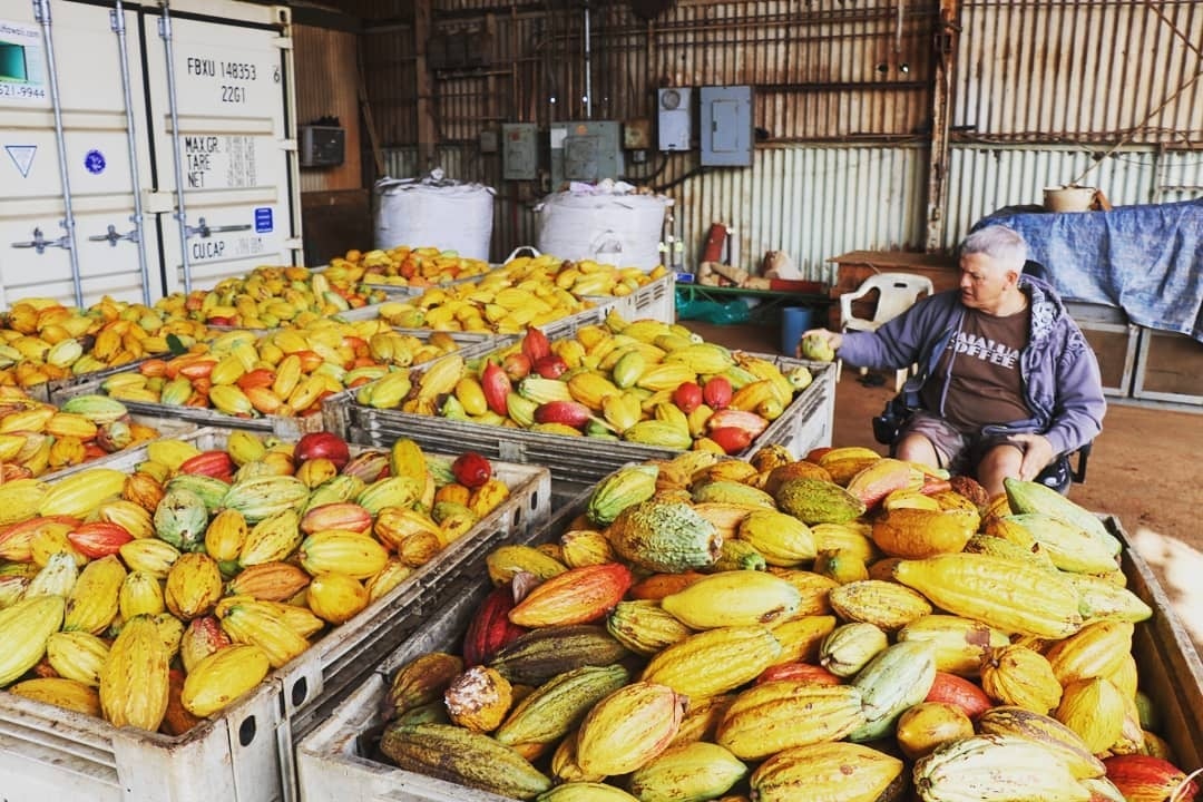 Northshore Food & Waterfall Tour